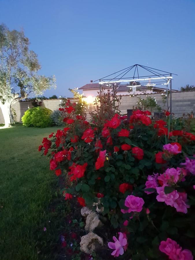 Villa Elegance Ladispoli Eksteriør billede